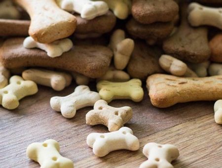 Alimentação pet, análise de textura e viscosidade